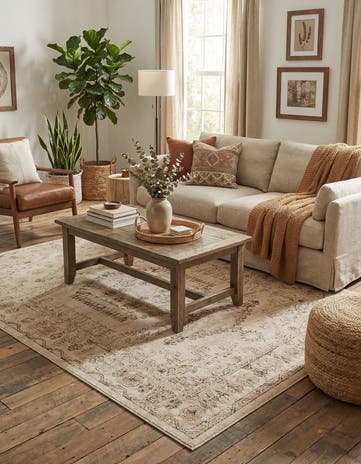 5' x 8' Eden Rug