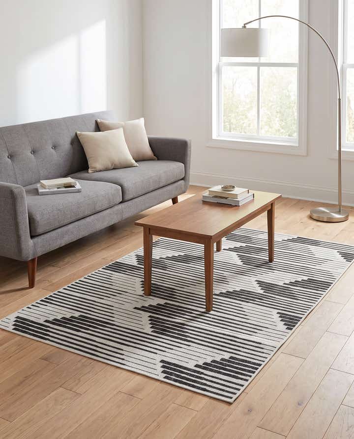 4' x 6' Easy-Clean Modern Indoor / Outdoor Rug