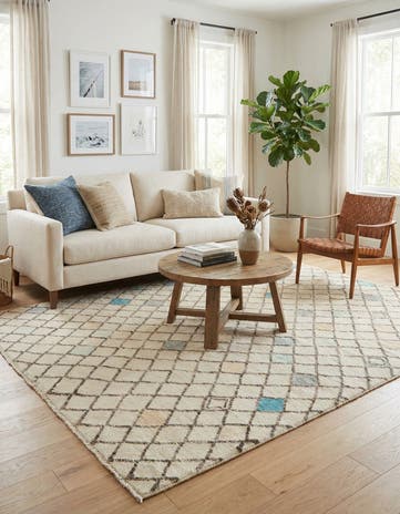 7' 8 x 10' Hand Knotted Darya Wool Rug