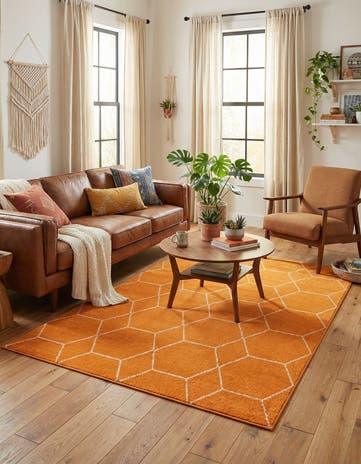 5' 3 x 8' Lattice Frieze Rug