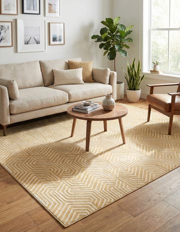 5' 3 x 8' Aakaar Rug