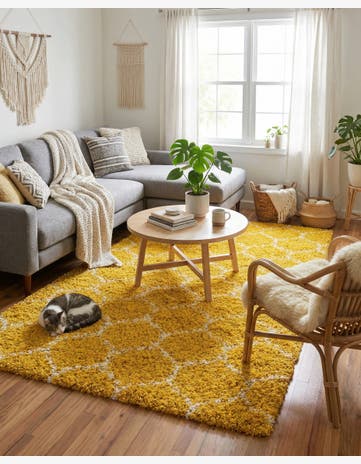 6' x 9' Trellis Shag Rug