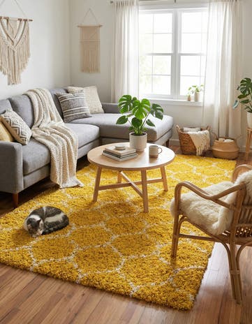 6' x 9' Lattice Shag Rug