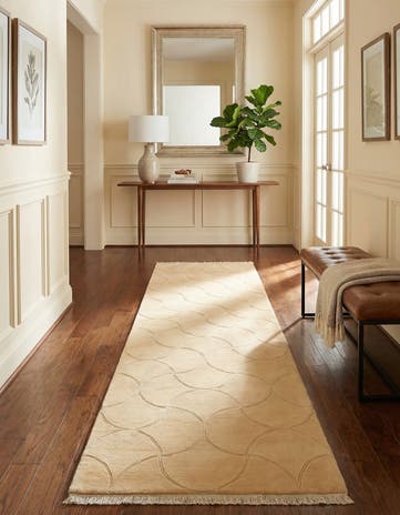 3' 6 x 13' 7 Hand Knotted Darya Wool Runner Rug