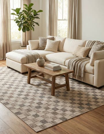 10' x 14' Silta Rug