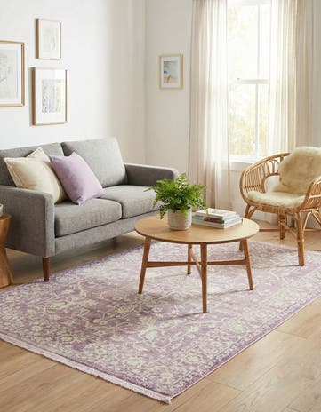 4' x 6' Modern Classical Rug