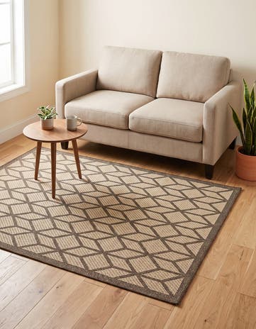 4' x 6' Dunes Rug