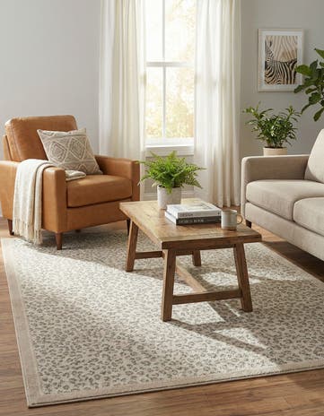 4' x 6' Savannah Rug