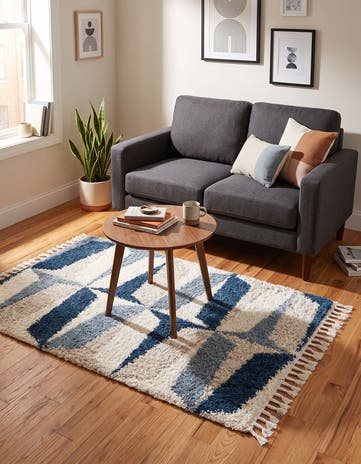 4' x 6' Athena Shag Rug