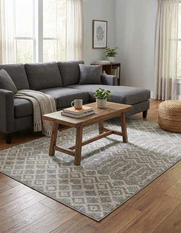Gray Eco Trellis Rug