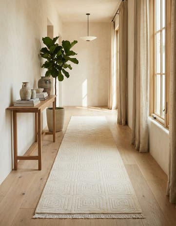 2' 7 x 10' Darya Runner Rug