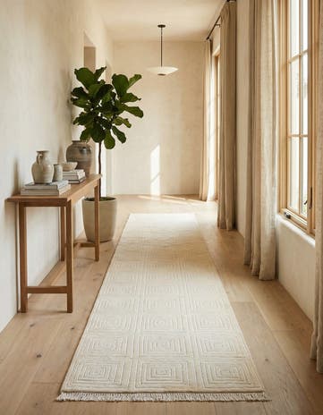 2' 7 x 10' Darya Runner Rug