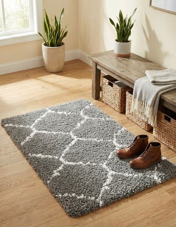 2' x 3' Moroccan Shag Rug