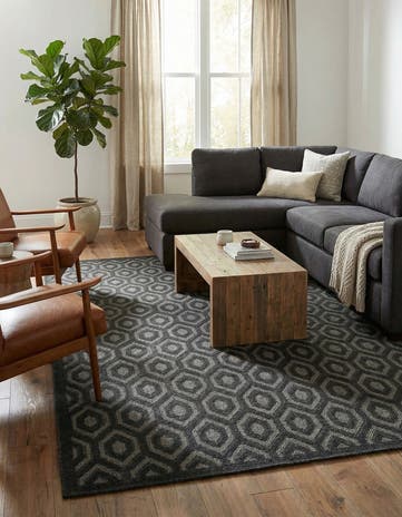 Charcoal Easy-Clean Trellis Textured Indoor / Outdoor Rug