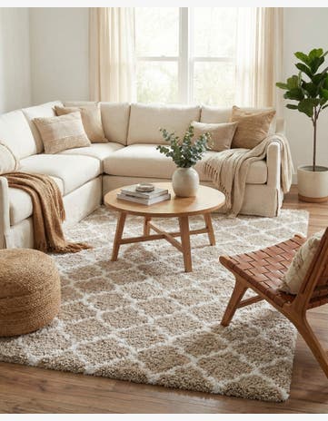 8' x 10' Marrakesh Shag Rug