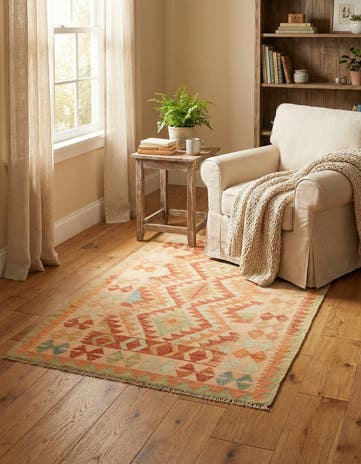 2' 9 x 4' 3 Hand Woven Kilim Waziri Wool Rug