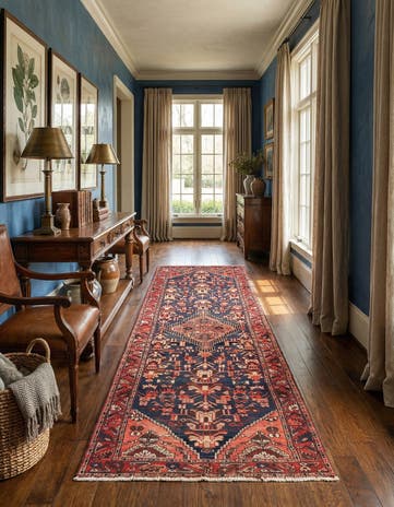 3' 5 x 9' 2 Hamedan Rug
