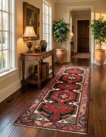3' 3 x 9' 9 Hamedan Runner Rug