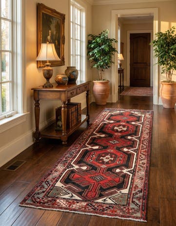 3' 3 x 9' 9 Hamedan Runner Rug