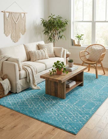 6' x 9' Paxon Trellis Rug