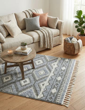 4' x 6' Boho Rug