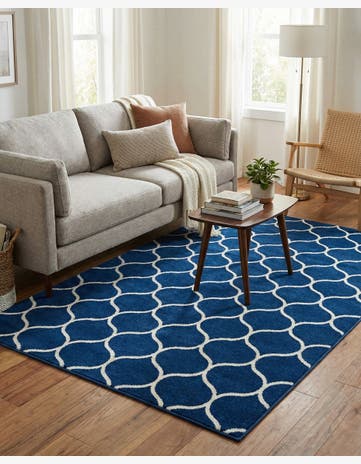 4' x 6' Trellis Frieze Rug