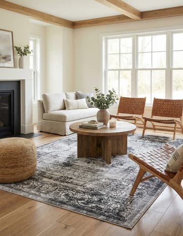 Gray Aarhus Rug