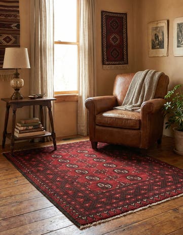3' 3 x 4' 9 Hand Knotted Afghan Akhche Wool Rug