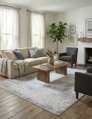 10' x 13' Modern Classical Rug