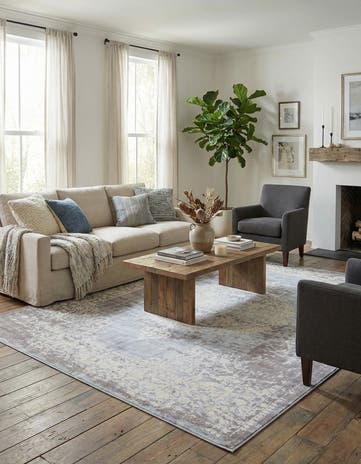 10' x 13' Modern Classical Rug