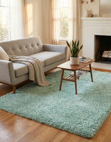 4' x 6' Infinity Shag Rug