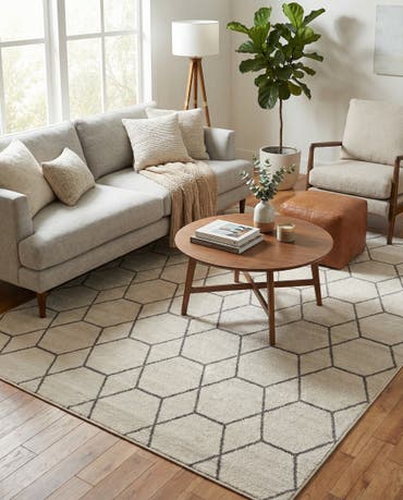  6' x 9' Lattice Frieze Rug