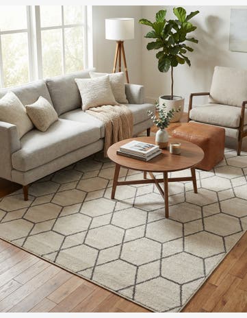 6' x 9' Trellis Frieze Rug