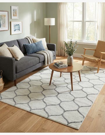 6' x 9' Trellis Frieze Rug