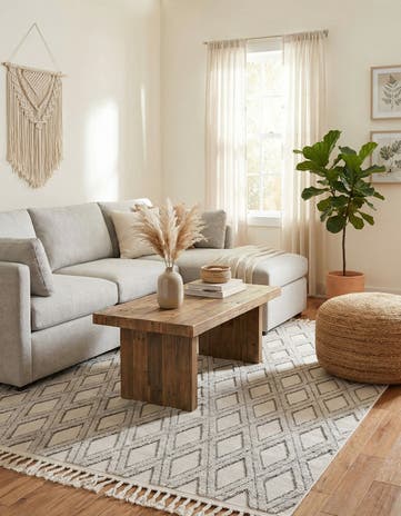 6' x 9' Arlo Rug