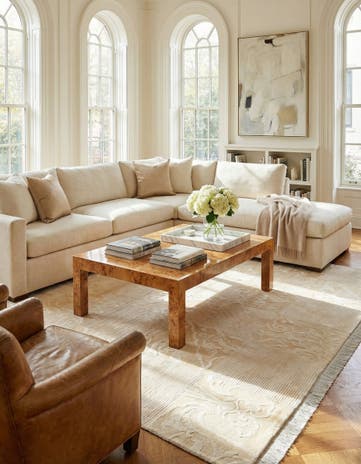 6' 9 x 10' 1 Hand Knotted Darya Wool Rug