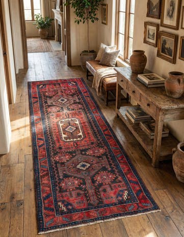 4' 2 x 10' 6 Hamedan Runner Rug