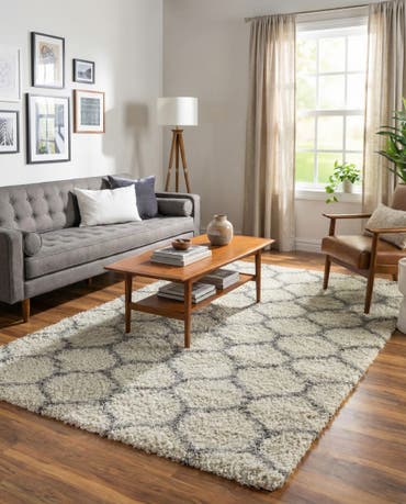  6' x 9' Lattice Shag Rug