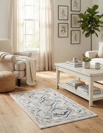 2' x 3' Charlotte Rug