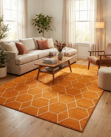  10' x 14' Lattice Frieze Rug