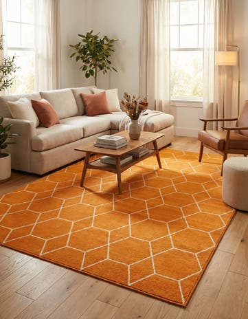 Orange Trellis Frieze Rug
