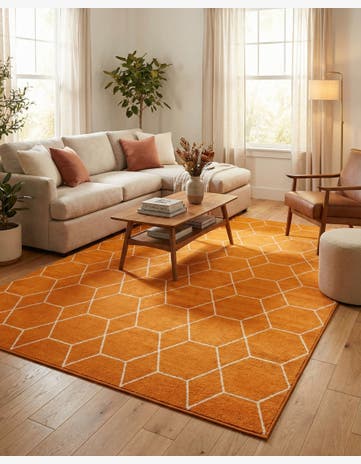 Orange Lattice Frieze Rug