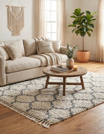 4' x 6' Athena Shag Rug