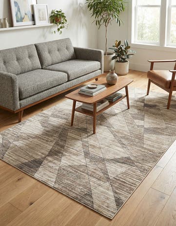 4' x 6' Silta Rug