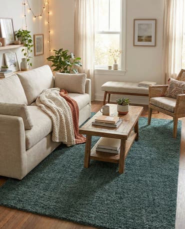  4' x 6' Jill Zarin Shaggy Chic Rug