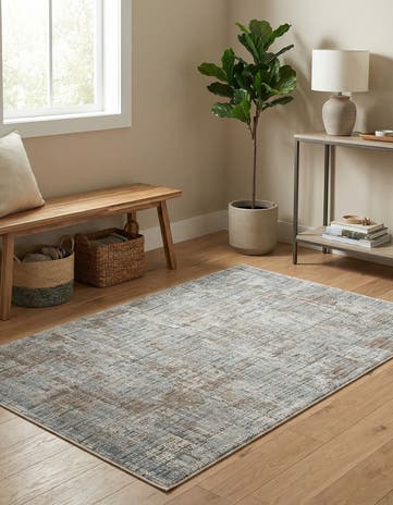 3' x 5' Silta Rug