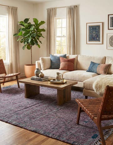 6' 2 x 10' 6 Hand Knotted Darya Wool Rug
