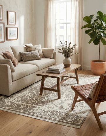 Gray Modern Classical Rug