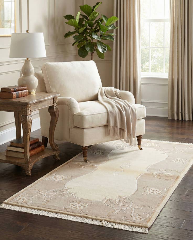 Detail image of 2' 9 x 5' Hand Knotted Darya Rug