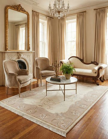 4' x 6' Darya Rug